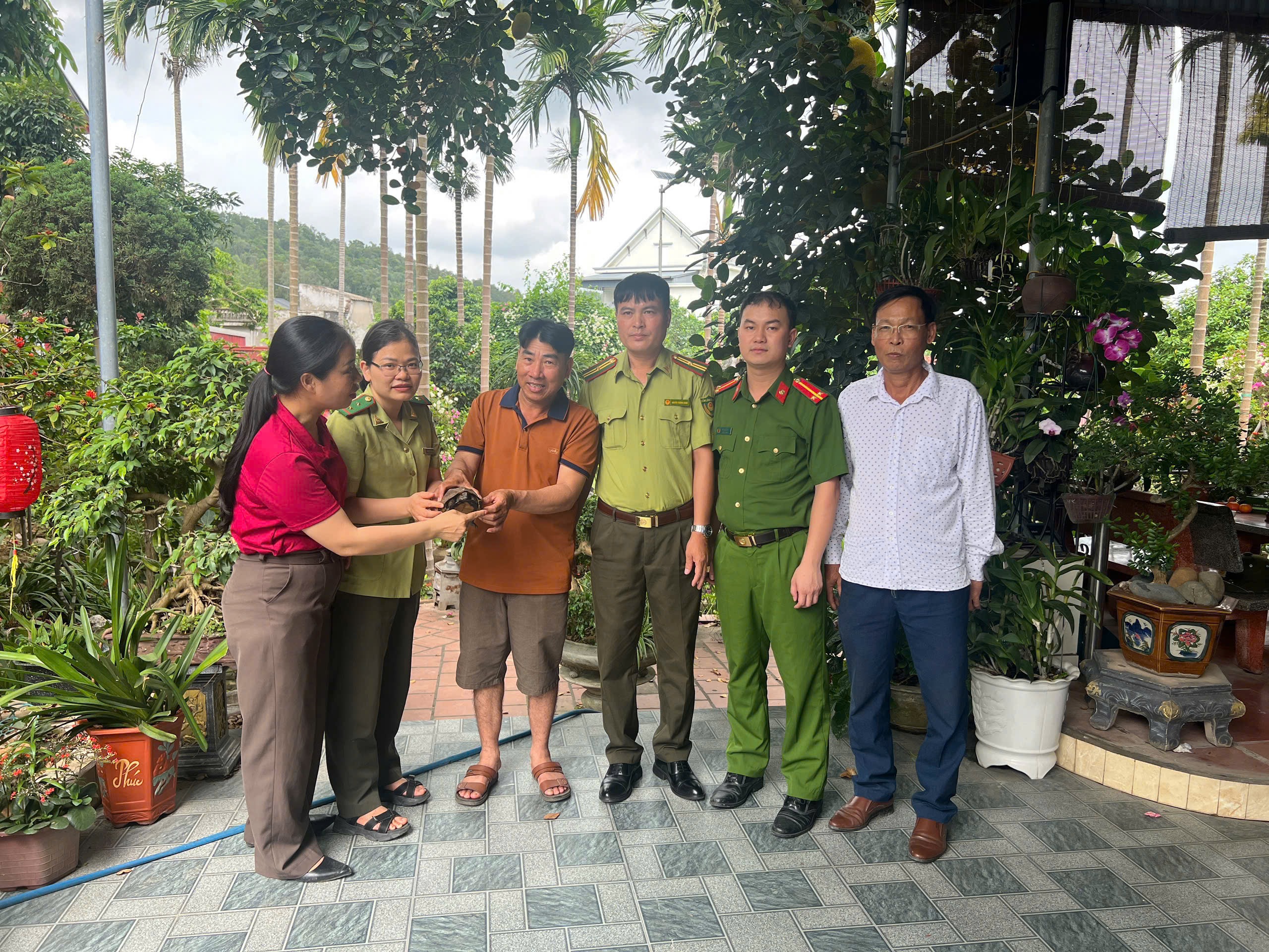 Công dân tự giác giao nộp cá thể rùa quý hiếm cho Công an phường Lê Đại Hành